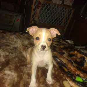 Meet your Posher, Margie